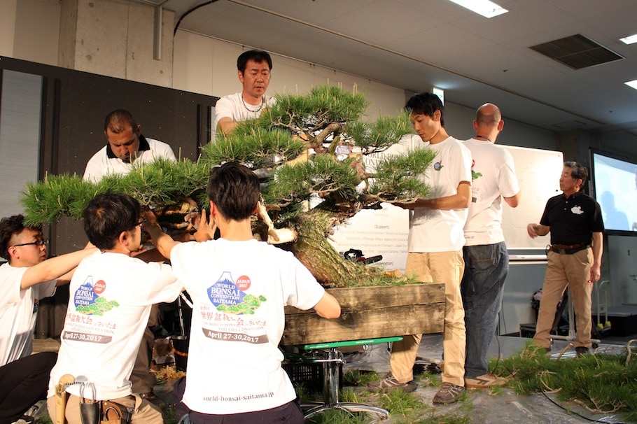 World Bonsai Convention Saitama, 2017