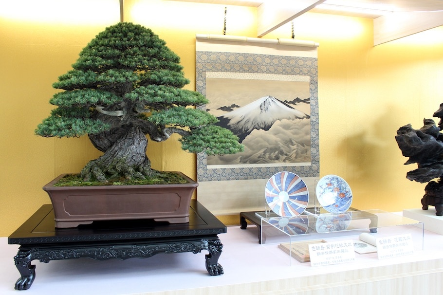 World Bonsai Convention Saitama, 2017