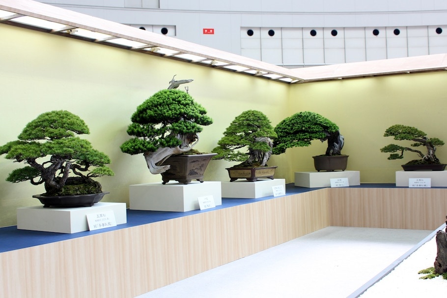 World Bonsai Convention Saitama, 2017