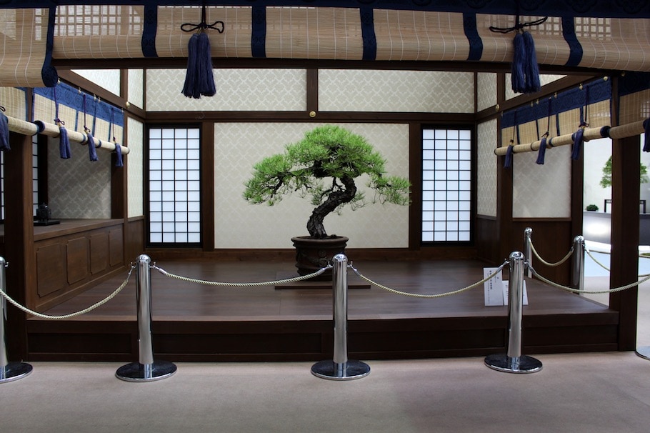 World Bonsai Convention Saitama, 2017