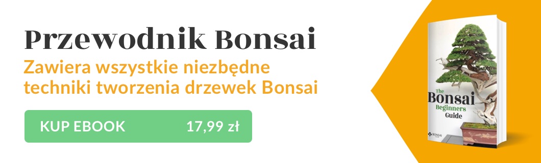 Przewodnik Bonsai dla początkujących