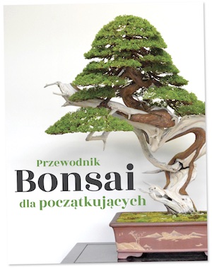 Przewodnik Bonsai dla początkujących